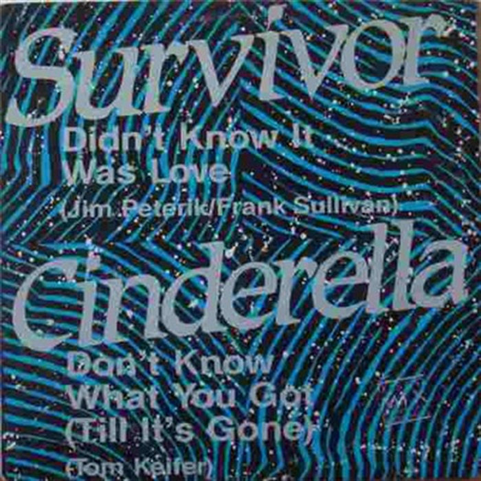 Didnt Know It Was Love Dont Know What You Got Till Its Gone | Survivor