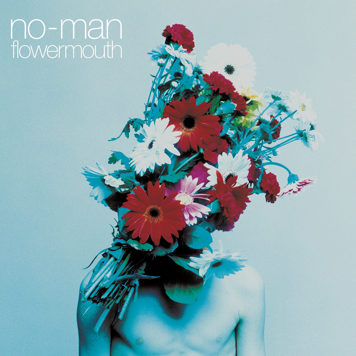 ★ No-Man レコード LP Flowermouth | No Man | no-man
