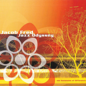 The Sameness of Difference cover