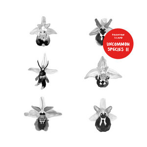 Uncommon Species IIVarious cover