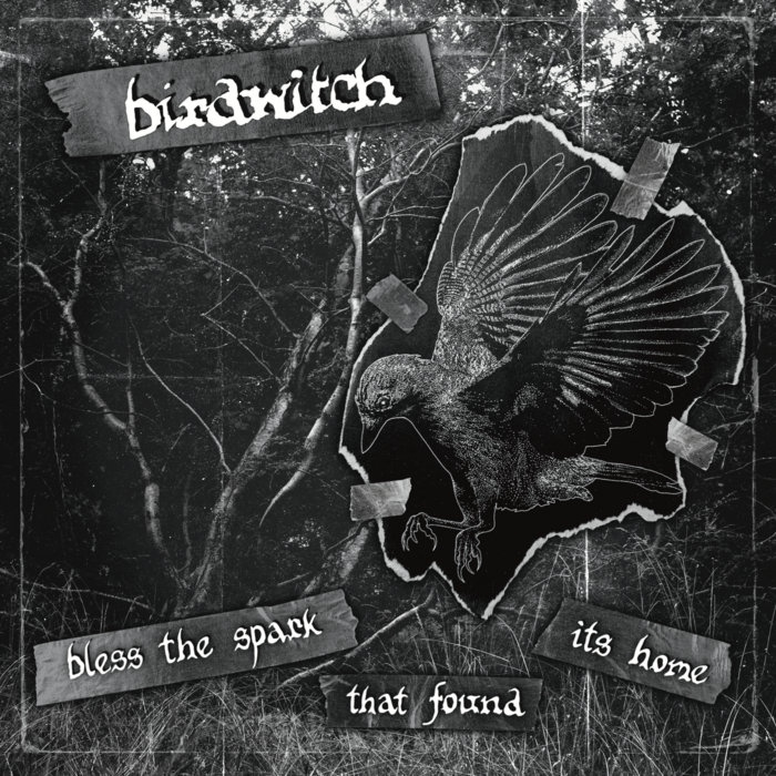 Birdwitch