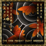 The Ever Present Silent Observer (Burn in Noise Remix)