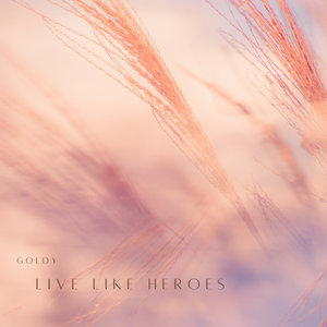 Live Like Heroes cover