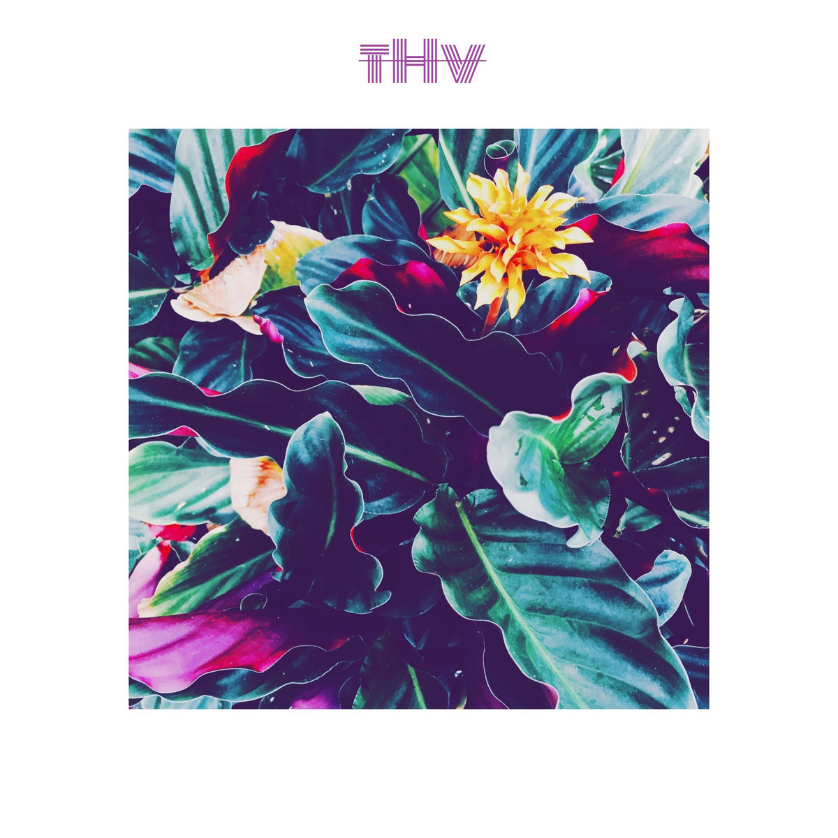 Welcome To The TreeHouse TreeHouse Vibes Welcome To The TreeHouse TreeHouse Vibes