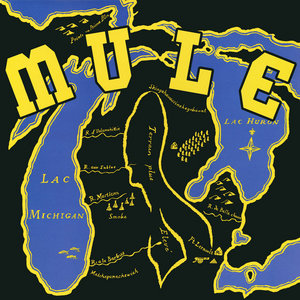 Mule cover