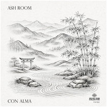 Velvet Dub Collective: Ash Room and Ambnt006 — Con Alma