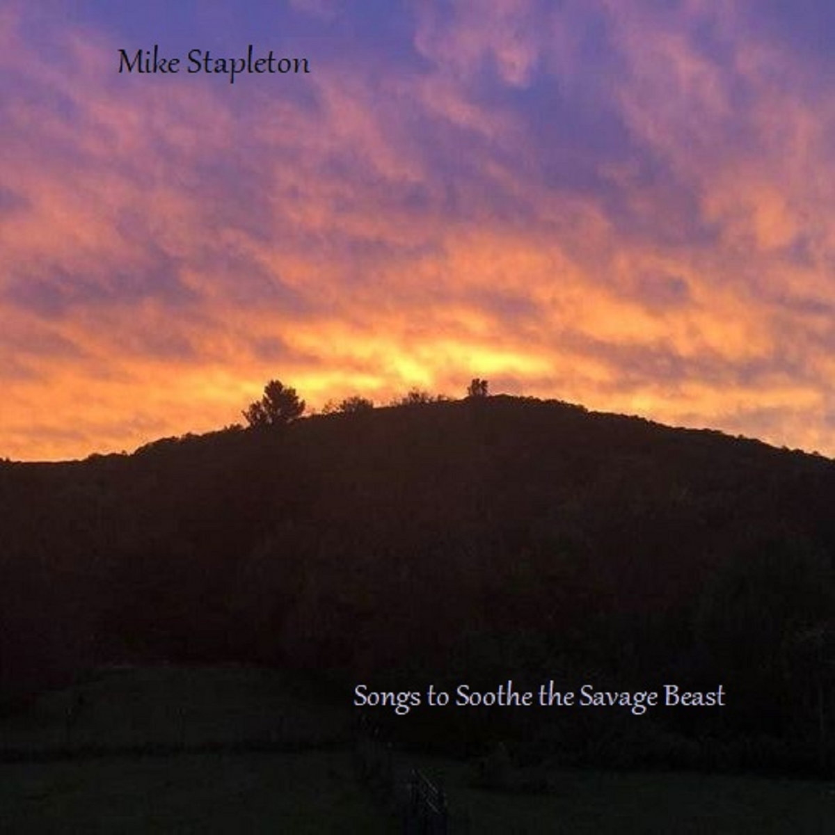 Songs to Soothe the Savage Beast | Mike Stapleton