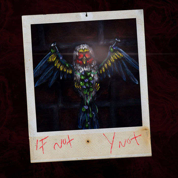 IF NOT, Y NOT, by Victim Unit