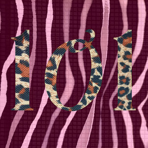 1O1 cover