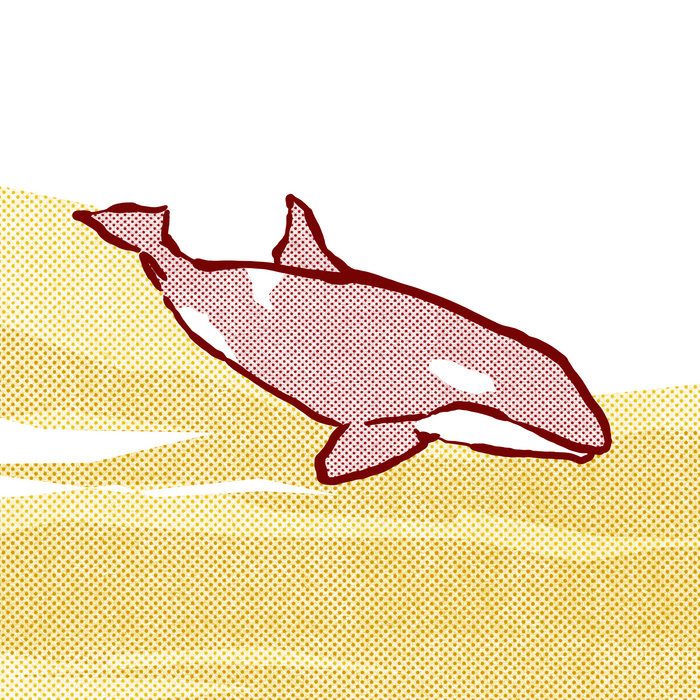 Song for the Orca | We Are Joiners + Parent Teacher | Wilbur & Moore ...