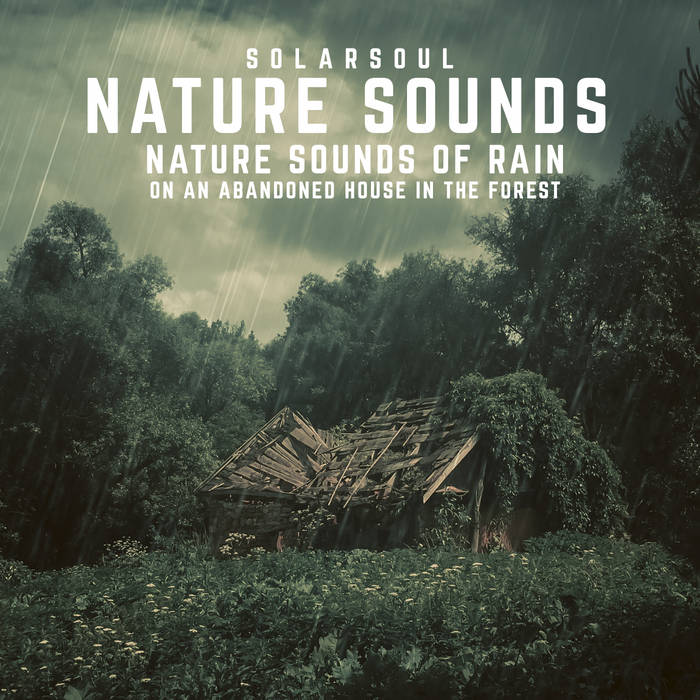Nature Sounds: Sounds of Rain on an Abandoned House in the Forest