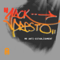 Mr Anti Establishment - Digital Single cover art