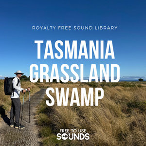 Coastal Wetlands and Grassland Ambience Tasmania cover