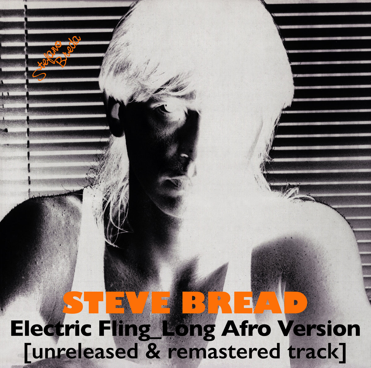 洋楽 In Flagranti - Presents: Electric Fling In Flagranti - Presents: Electric Fling 洋楽