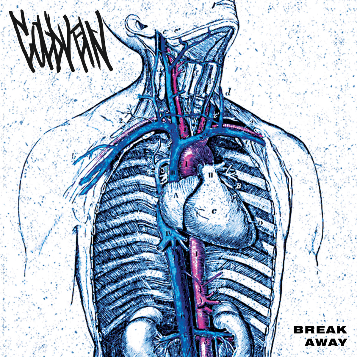 Break Away | COLD VEIN | ICEBREAKER RECORDS