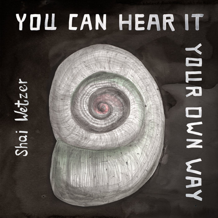 Pochette de You Can Hear It Your Own Way par Shai Wetzer