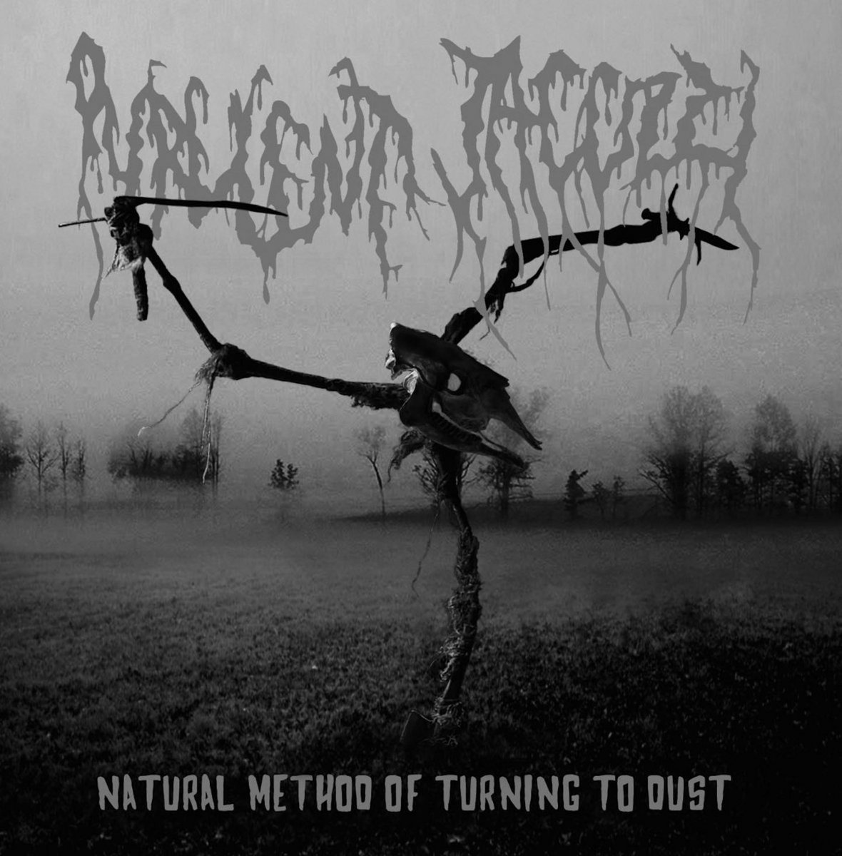 邦楽 Natural Calamity - Lust In The Dust NATURAL CALAMITY / Lust In The Dust (TFJC38222) LP – TICRO MARKET