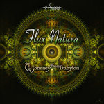 Flux Natura - A Journey From Babylon - [OVNILP905]