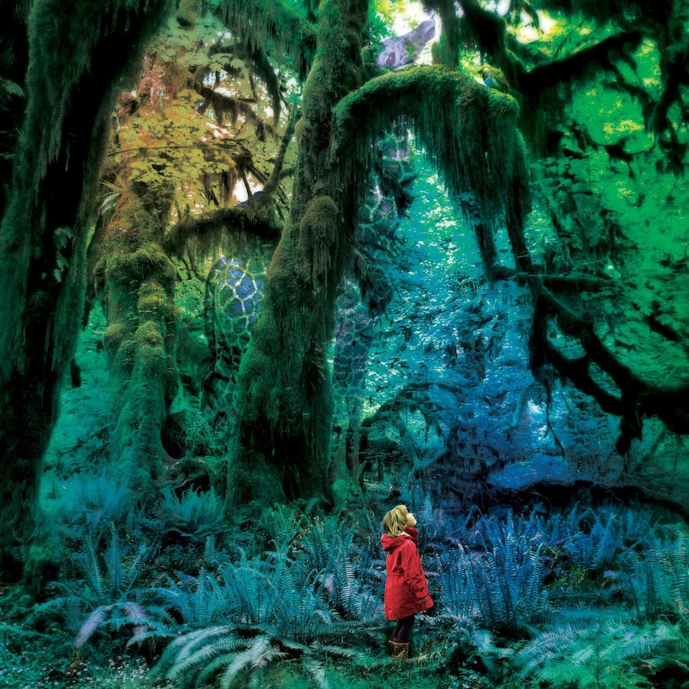 Cabinet Of Curiosities Jacco Gardner