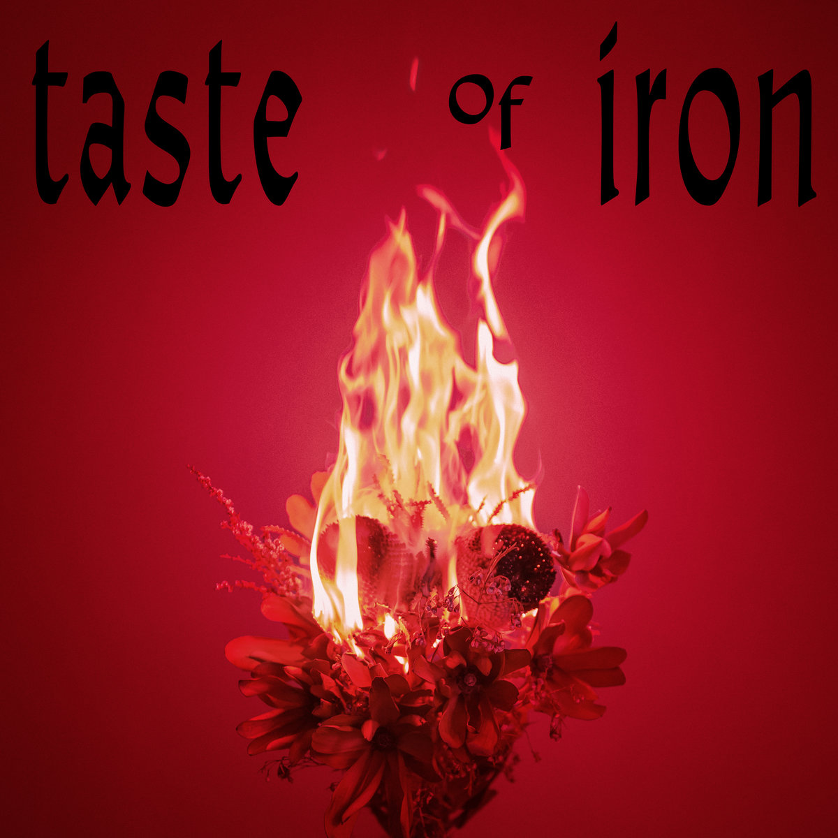 Taste Of Iron