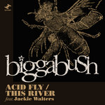 Acid Fly / This River feat. Jackie Walters