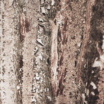 Speaking With Objects cover art