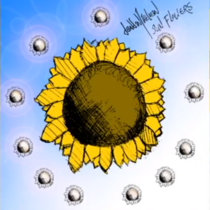 55:Daṇḍin - Sun Flowers cover art