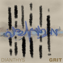 Grit cover art