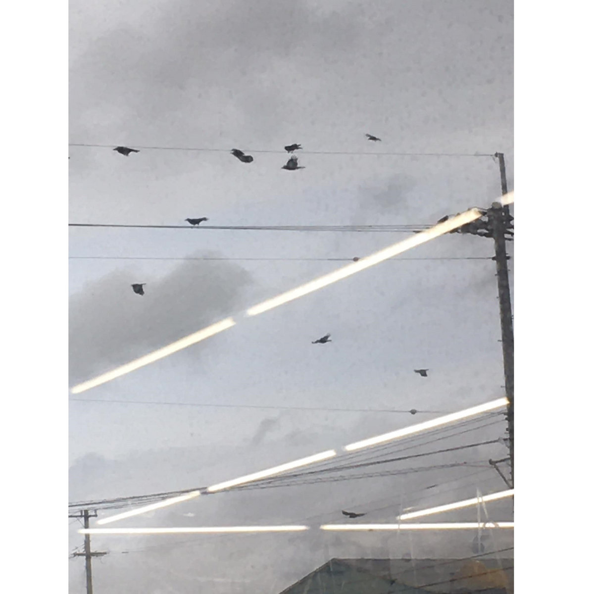邦楽 Tori Kudo / La Consumption 4 Shuyukan 2021.11.6-7 | tori kudo