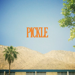 Pickle - Single cover
