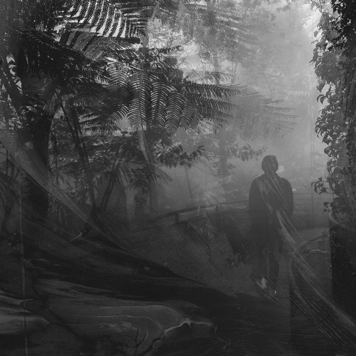 telltale (blush response) sur le fil