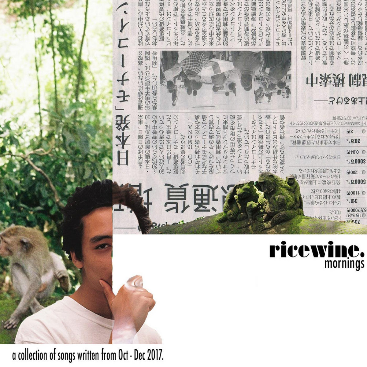 Mornings Ricewine In Silico Mornings Ricewine In Silico
