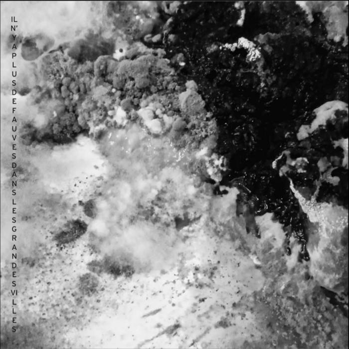 Il n'y a plus de fauves dans les grandes villes Il n'y a plus de