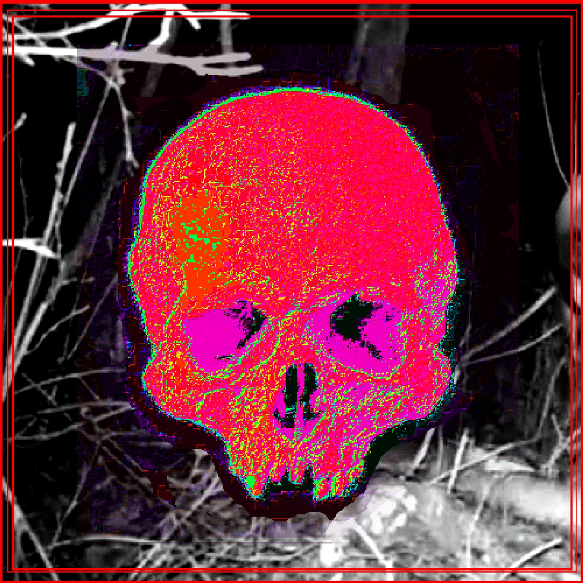 The Petrified Tower cover