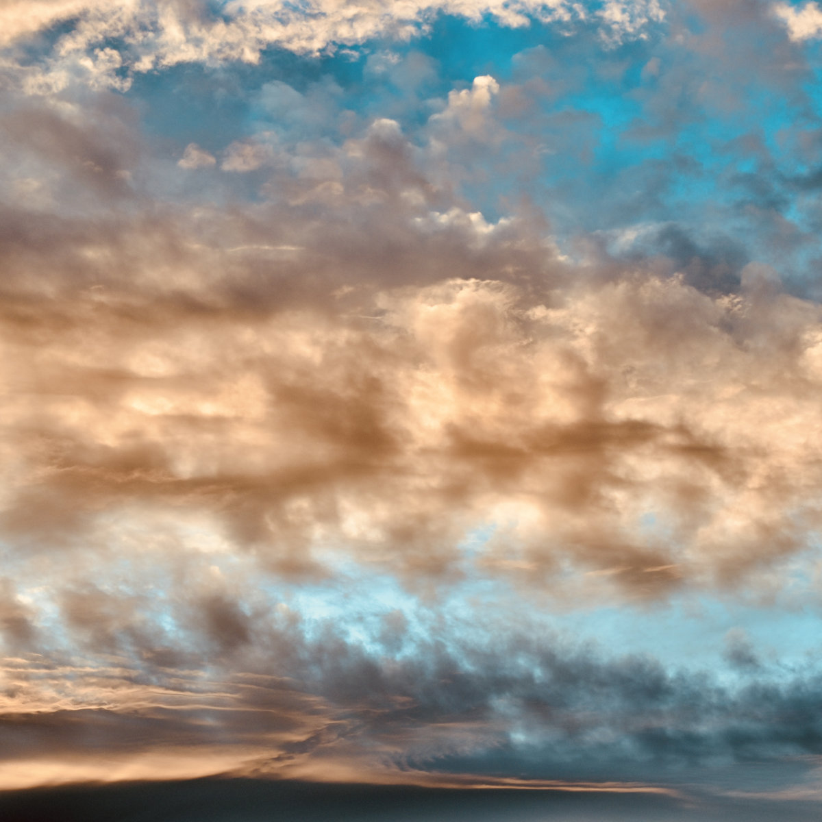 Cycle Trees by the Lake