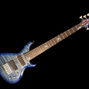 Bass N It cover