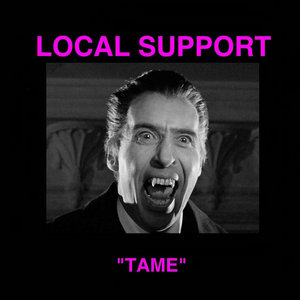 TAME (Joyce Manor Cover) cover