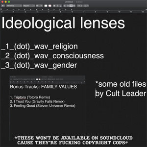 Ideological Lenses & Family Values cover