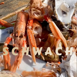 schwach cover