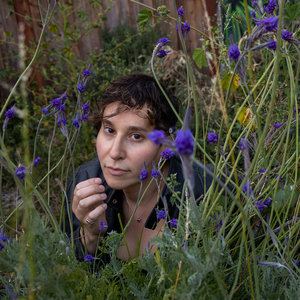 Where the Lavender Grows cover