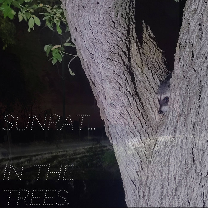 In the Trees. SUN RAT