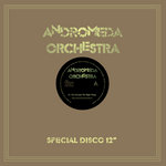 Andromeda Orchestra - You Got Just The Right Thing