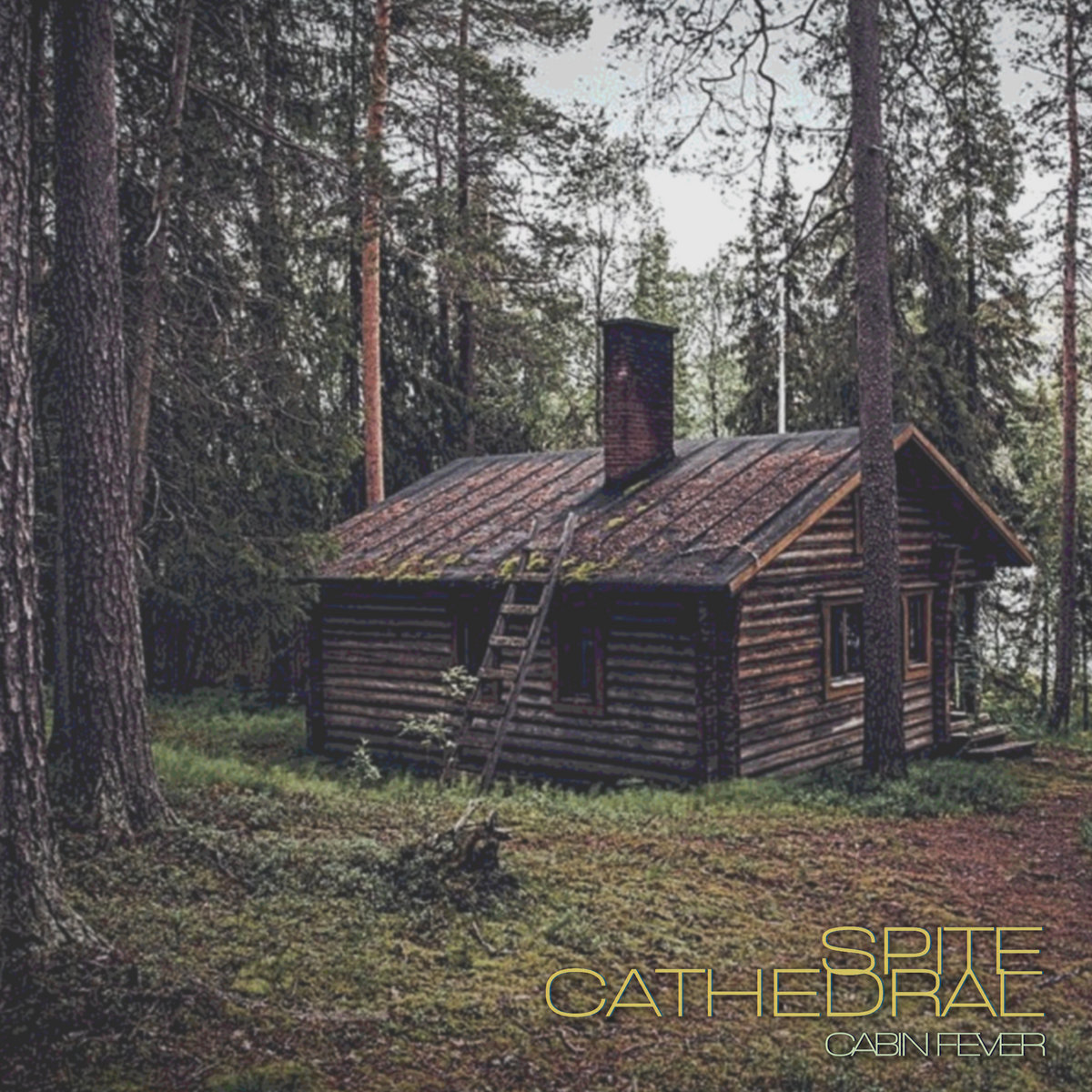 Cabin Fever | Spite Cathedral | Mountain Forest Cabin Dweller, image size:1200x1200