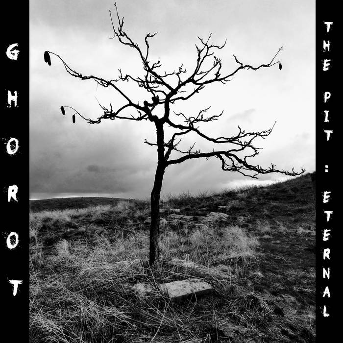 trevjf9911's collection | Bandcamp