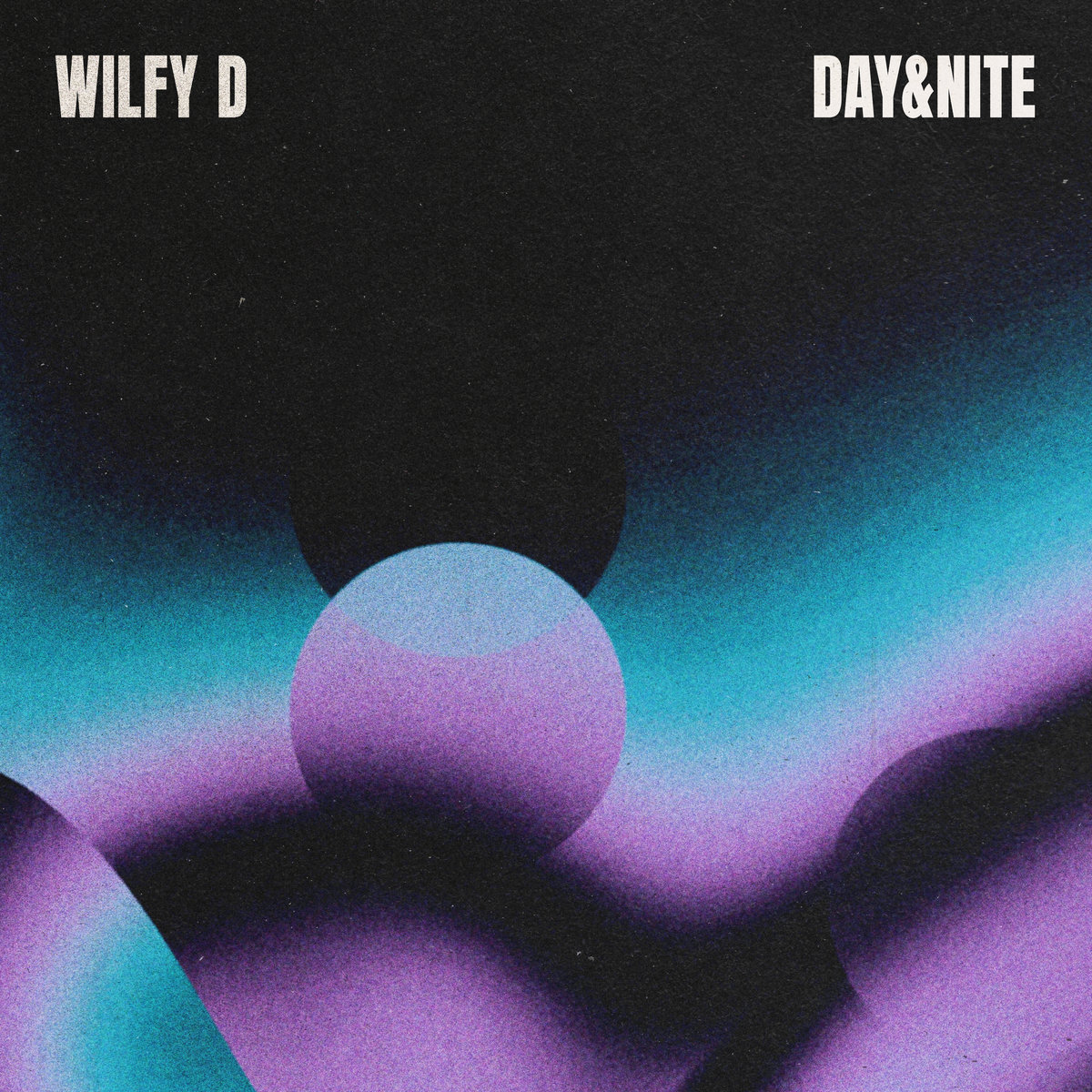 DAY&NITE (Extended Mix) | Wilfy D
