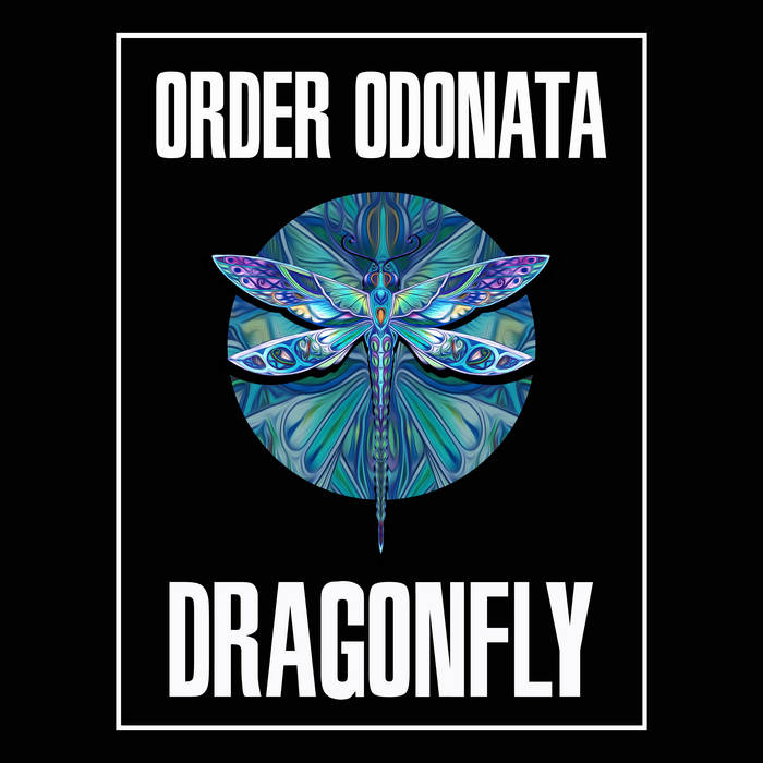 ORDER ODONATA - Beyond the Looking Glass | Dragonfly Records