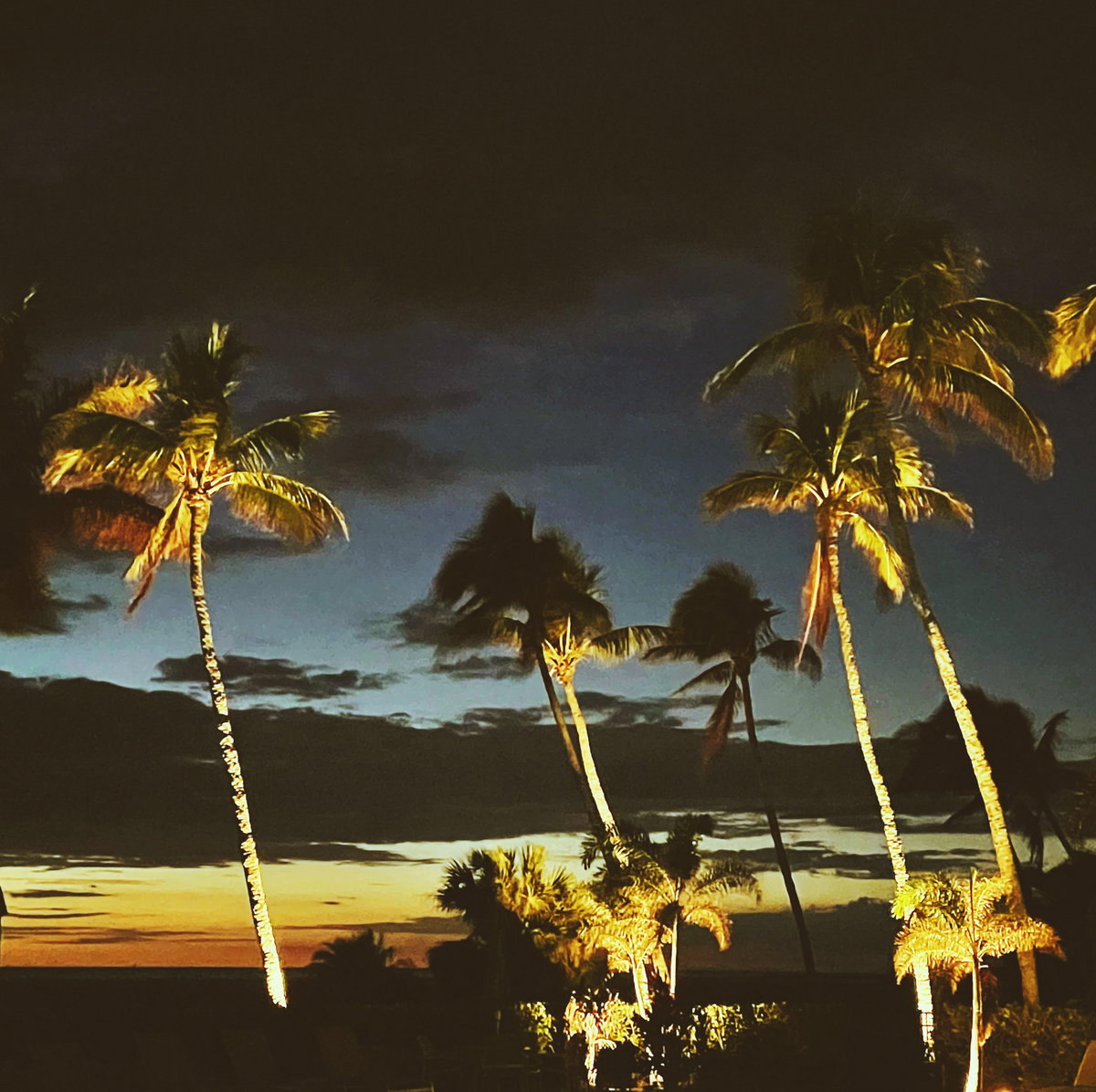 STARWOLF TROPICAL DISCO レコード　アナログ　5/4 Tropical Disco | Starwolf