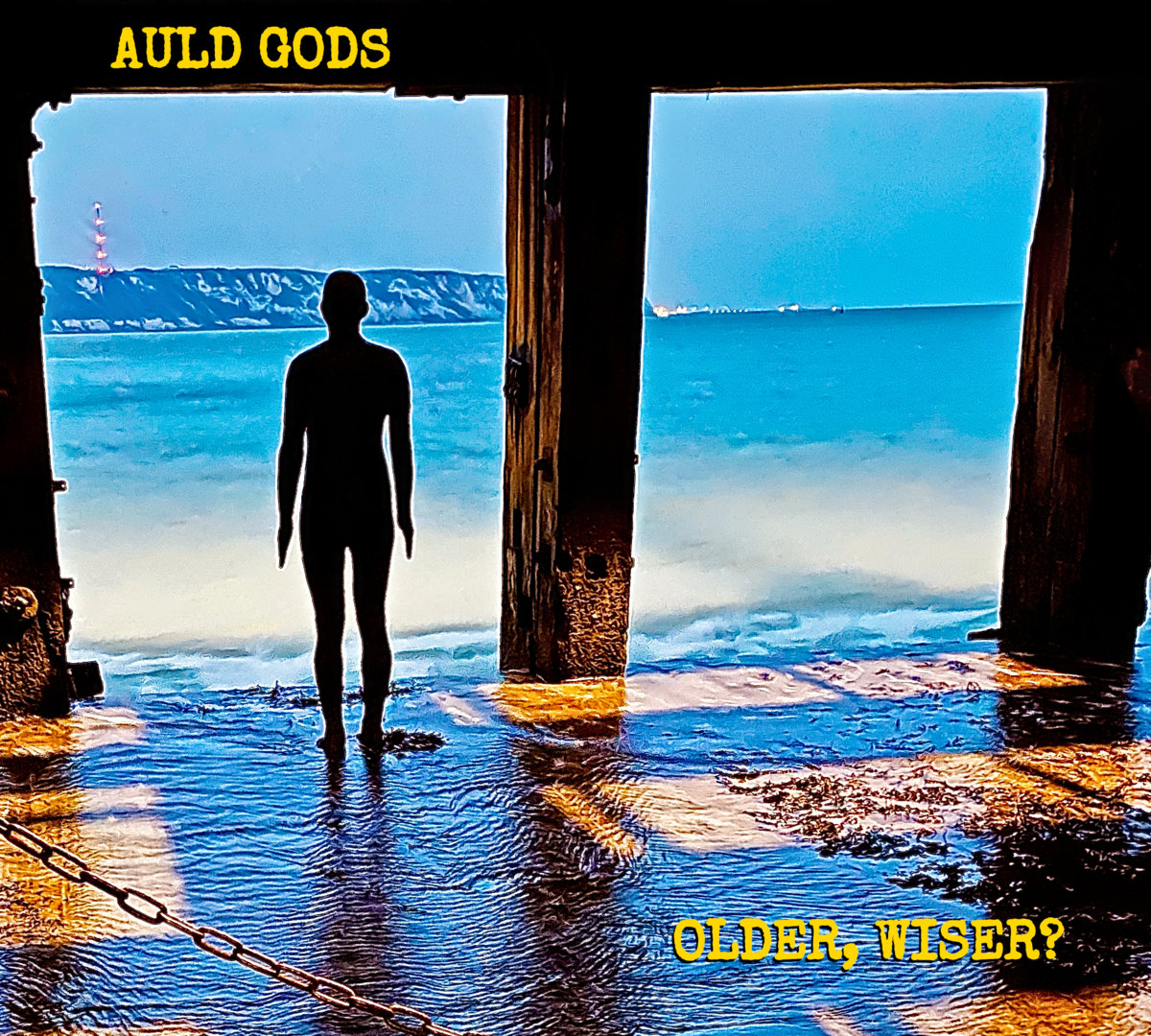 Older, Wiser cover