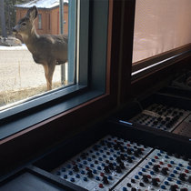 Tunnel Mountain, Part 1 [The Dream] cover art