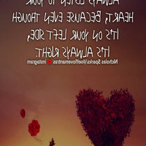 foci's left - bassomata cover art